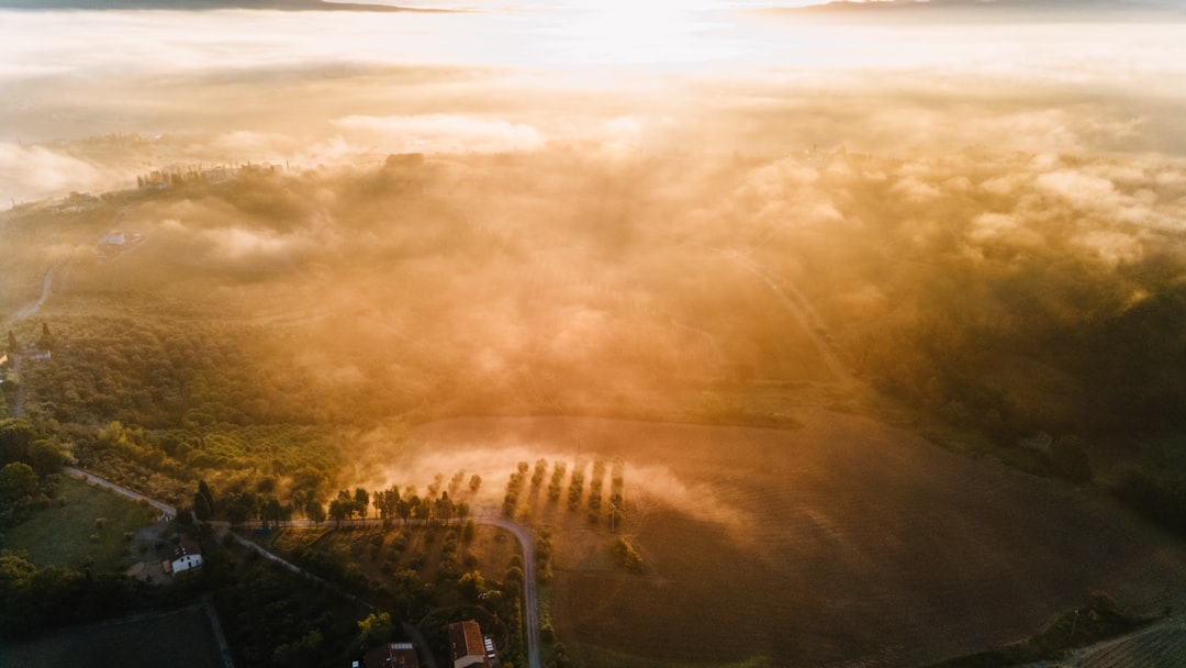 Cum să îți construiești viața ideală
